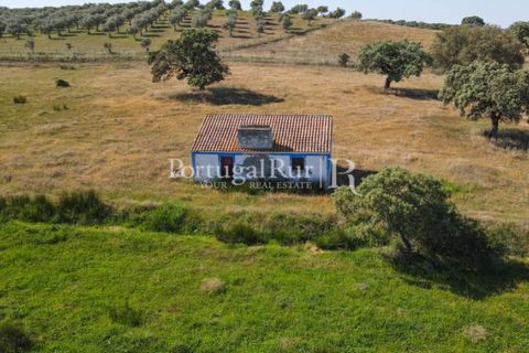Landejendom i Avis, Portalegre, Avis - € 330.000 | Ref: 1119-3 - foto 9