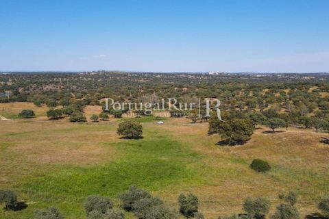 Landejendom i Avis, Portalegre, Avis - € 330.000 | Ref: 1119-3 - foto 14