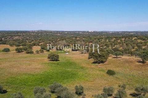 Landejendom i Avis, Portalegre, Avis - € 330.000 | Ref: 1119-3 - foto 15
