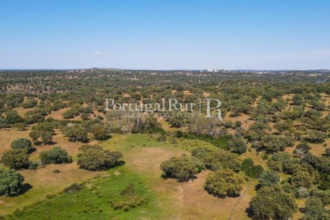 Landejendom i Avis, Portalegre, Avis - € 330.000 | Ref: 1119-3 - foto 16