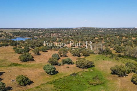Landejendom i Avis, Portalegre, Avis - € 330.000 | Ref: 1119-3 - foto 17