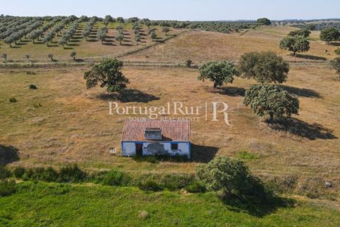 Landejendom i Avis, Portalegre, Avis - € 330.000 | Ref: 1119-3 - foto 18