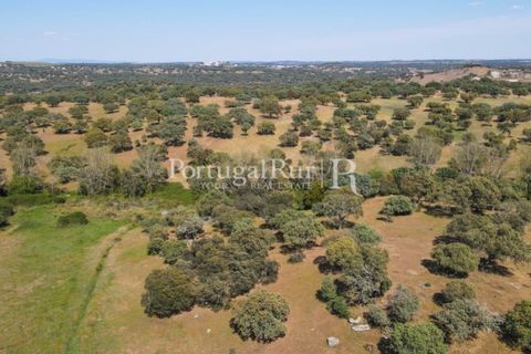 Landejendom i Avis, Portalegre, Avis - € 330.000 | Ref: 1119-3 - foto 19