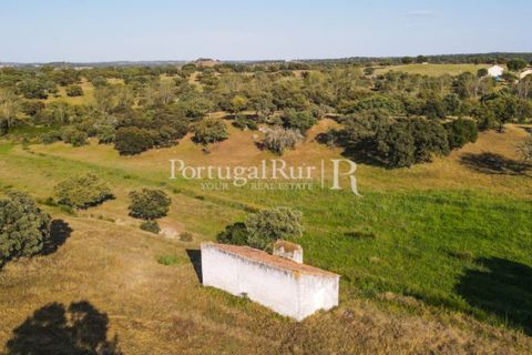 Landejendom i Avis, Portalegre, Avis - € 330.000 | Ref: 1119-3 - foto 20