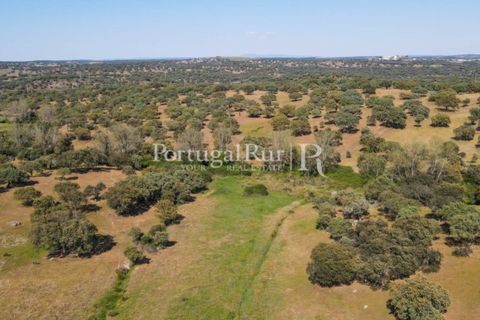 Landejendom i Avis, Portalegre, Avis - € 330.000 | Ref: 1119-3 - foto 21