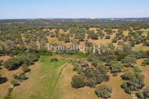 Landejendom i Avis, Portalegre, Avis - € 330.000 | Ref: 1119-3 - foto 22