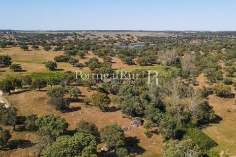 Landejendom i Avis, Portalegre, Avis - € 330.000 | Ref: 1119-3 - foto 23