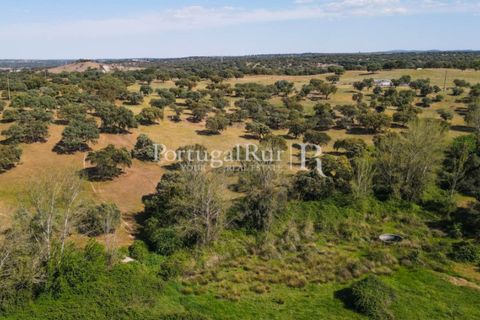 Landejendom i Avis, Portalegre, Avis - € 330.000 | Ref: 1119-3 - foto 25