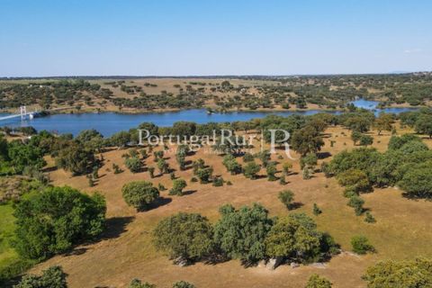 Landejendom i Avis, Portalegre, Avis - € 330.000 | Ref: 1119-3 - foto 26