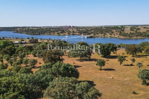 Landejendom i Avis, Portalegre, Avis - € 330.000 | Ref: 1119-3 - foto 27