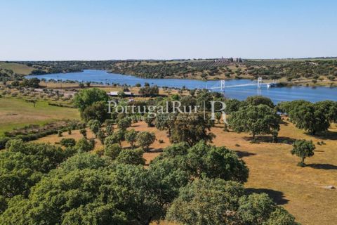 Landejendom i Avis, Portalegre, Avis - € 330.000 | Ref: 1119-3 - foto 28