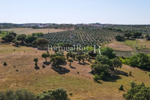 Landejendom i Avis, Portalegre, Avis - € 330.000 | Ref: 1119-3 - foto 29