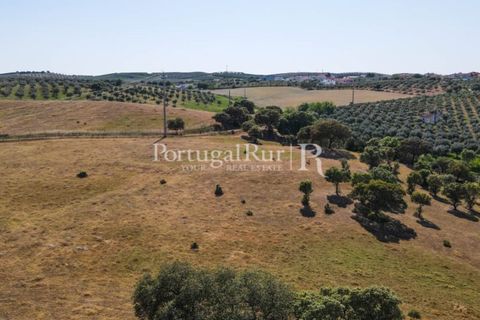 Landejendom i Avis, Portalegre, Avis - € 330.000 | Ref: 1119-3 - foto 30