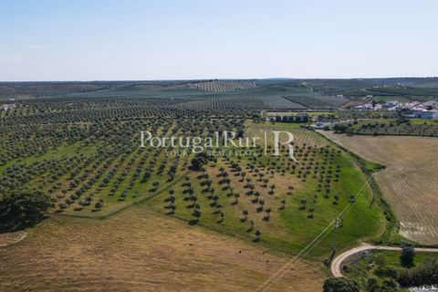 Landejendom i Avis, Portalegre, Avis - € 330.000 | Ref: 1119-3 - foto 31