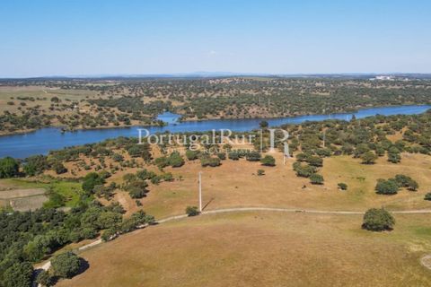 Landejendom i Avis, Portalegre, Avis - € 330.000 | Ref: 1119-3 - foto 33