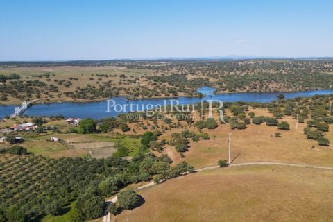 Landejendom i Avis, Portalegre, Avis - € 330.000 | Ref: 1119-3 - foto 34