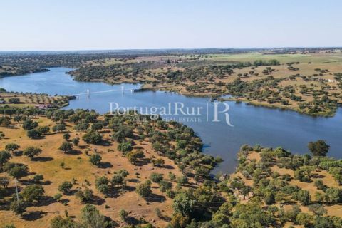 Landejendom i Avis, Portalegre, Avis - € 330.000 | Ref: 1119-3 - foto 35