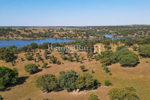 Landejendom i Avis, Portalegre, Avis - € 330.000 | Ref: 1119-3 - foto 37