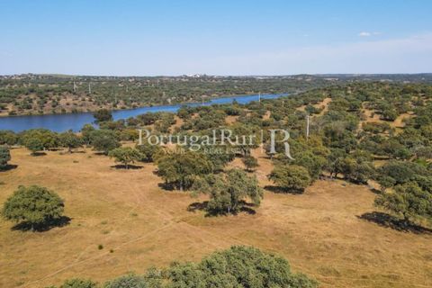 Landejendom i Avis, Portalegre, Avis - € 330.000 | Ref: 1119-3 - foto 38