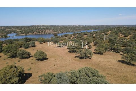 Landejendom i Avis, Portalegre, Avis - € 330.000 | Ref: 1119-3 - foto 39
