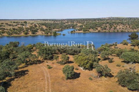 Landejendom i Avis, Portalegre, Avis - € 330.000 | Ref: 1119-3 - foto 40