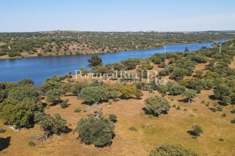 Landejendom i Avis, Portalegre, Avis - € 330.000 | Ref: 1119-3 - foto 41