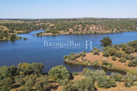 Landejendom i Avis, Portalegre, Avis - € 330.000 | Ref: 1119-3 - foto 42