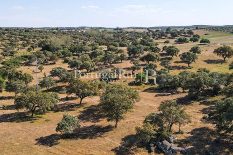 Landejendom i Avis, Portalegre, Avis - € 330.000 | Ref: 1119-3 - foto 44