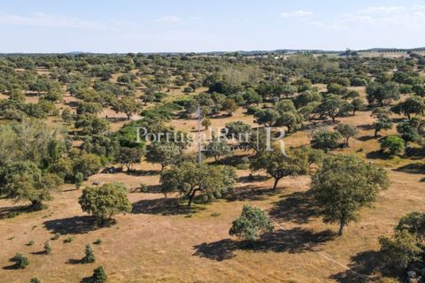 Landejendom i Avis, Portalegre, Avis - € 330.000 | Ref: 1119-3 - foto 45