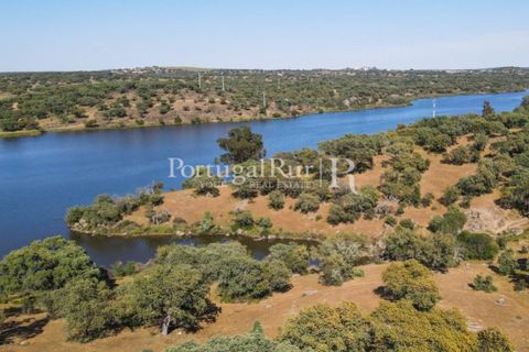 Landejendom i Avis, Portalegre, Avis - € 330.000 | Ref: 1119-3 - foto 46