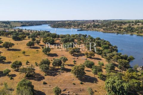 Landejendom i Avis, Portalegre, Avis - € 330.000 | Ref: 1119-3 - foto 47