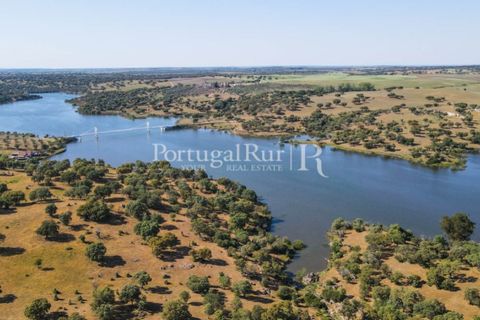Landejendom i Avis, Portalegre, Avis - € 330.000 | Ref: 1119-3 - foto 48