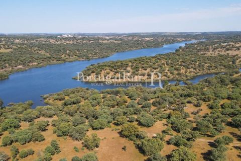 Landejendom i Avis, Portalegre, Avis - € 330.000 | Ref: 1119-3 - foto 49
