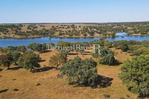 Landejendom i Avis, Portalegre, Avis - € 330.000 | Ref: 1119-3 - foto 50