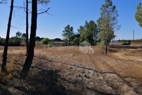Helårsgrund i Coruche, Santarem, Coruche - € 66.500 | Ref: OH_TMI_1184 - foto 1