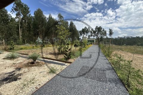 Villa i Pombal, Leiria, Pombal - € 750.000 | Ref: CAS.HV 001 - foto 33