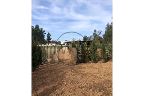 Villa i Pombal, Leiria, Pombal - € 750.000 | Ref: CAS.HV 001 - foto 36