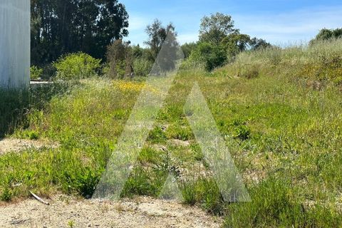 Helårsgrund i Oia, Aveiro, Oia - € 22.000 | Ref: 1051046/23 OB - foto 3