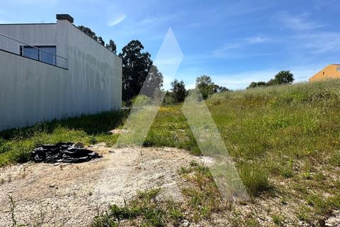 Helårsgrund i Oia, Aveiro, Oia - € 22.000 | Ref: 1051046/23 OB - foto 4