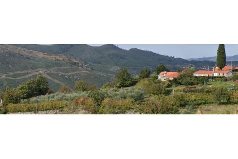 Helårsgrund i Viseu, Viseu, Viseu - € 75.000 | Ref: LMG_3806 - N - foto 9