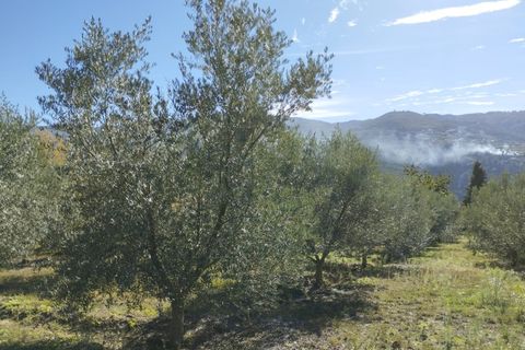 Helårsgrund i Viseu, Viseu, Viseu - € 75.000 | Ref: LMG_3806 - N - foto 3