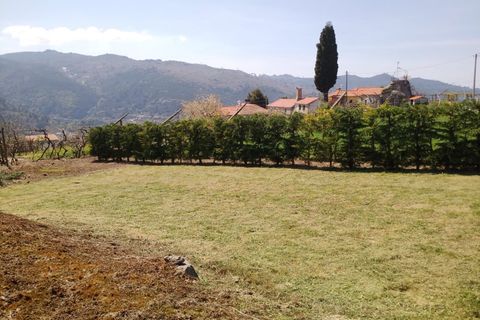 Helårsgrund i Viseu, Viseu, Viseu - € 75.000 | Ref: LMG_3806 - N - foto 1