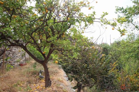 Villa i Molvizar, Granada, Molvizar - € 244.000 | Ref: M426 - foto 19