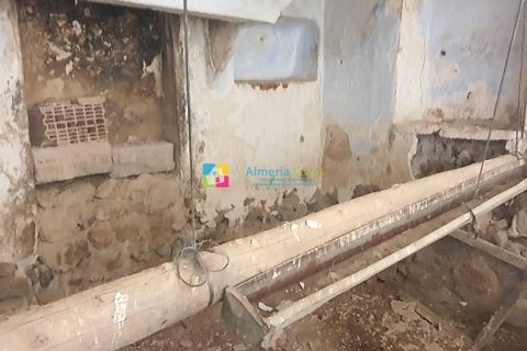 Landejendom i Oria, Almeria, Oria - € 24.000 | Ref: 2307 - foto 4