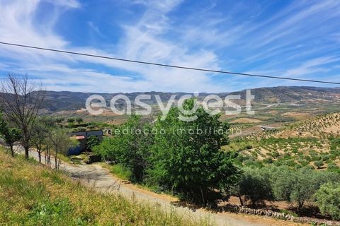 Villa a Adeganha e Cardanha, Braganca, Adeganha e Cardanha - € 20.000 | Ref: BG92272MG - foto 5