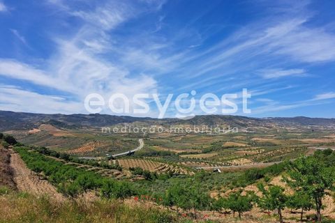 Villa a Adeganha e Cardanha, Braganca, Adeganha e Cardanha - € 20.000 | Ref: BG92272MG - foto 7