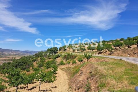 Villa a Adeganha e Cardanha, Braganca, Adeganha e Cardanha - € 20.000 | Ref: BG92272MG - foto 8