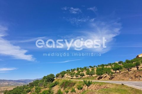Villa a Adeganha e Cardanha, Braganca, Adeganha e Cardanha - € 20.000 | Ref: BG92272MG - foto 9