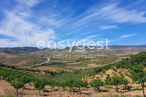 Villa a Adeganha e Cardanha, Braganca, Adeganha e Cardanha - € 20.000 | Ref: BG92272MG - foto 12