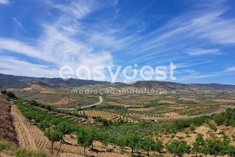 Villa a Adeganha e Cardanha, Braganca, Adeganha e Cardanha - € 30.000 | Ref: BG92275MG - foto 8